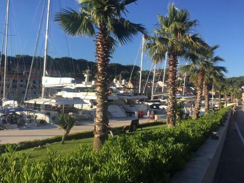 Apartment In Maslinica 70m From The Sea