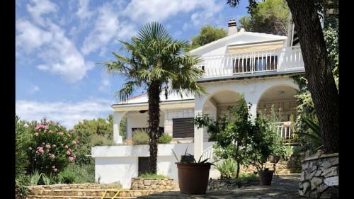 Apartment In Maslinica 70m From The Sea