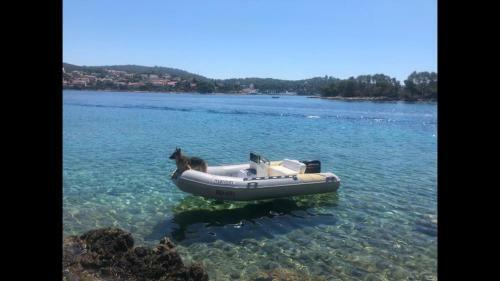 Apartment In Maslinica 70m From The Sea