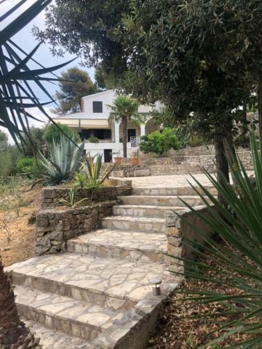 Apartment In Maslinica 70m From The Sea