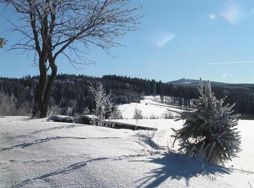 Ferienhaus-ziller