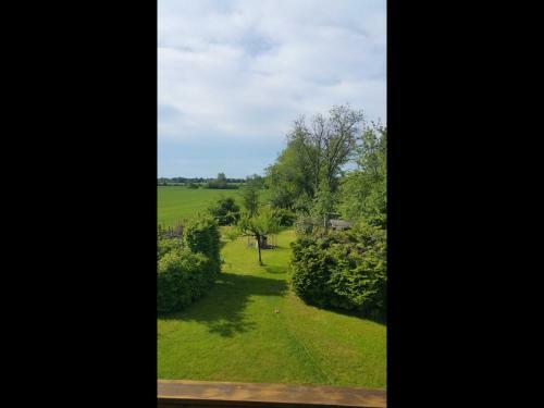 Apartamento Ferienwohnung Cottbus Spreewald
