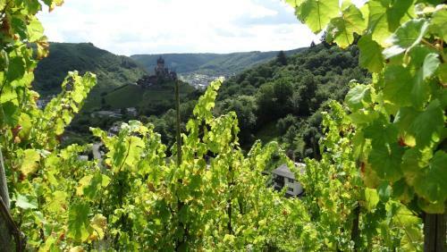 Apartamento Talblick