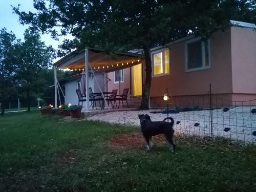Tiny House - Ku?a Za Odmor Dora