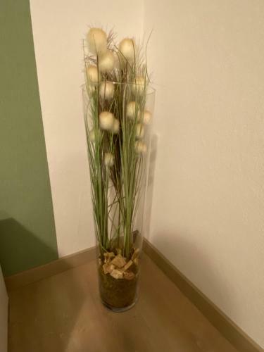 Apartamento Haus Avallon