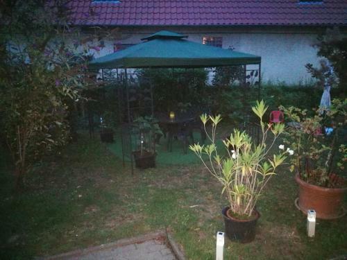 Apartamento Ferienwohnung Am Finkenherd