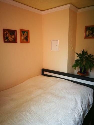 Apartamento Ferienwohnung Am Finkenherd