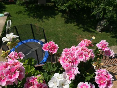 Spacious Sea View Apartment With Garden In Lovran