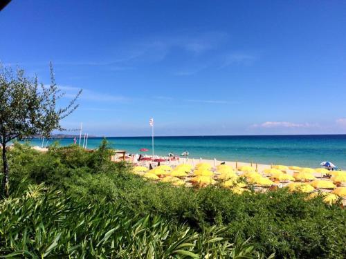 Hotel Free Beach Club