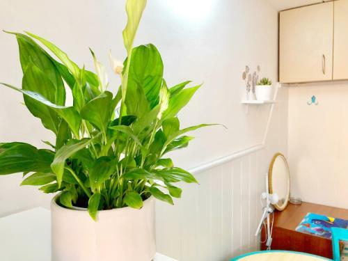 Apartamento Holiday Studio