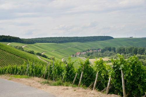 Hostal G�stezimmer D�ll