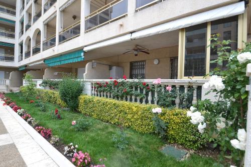 Apartamento Wvp - Turquesa