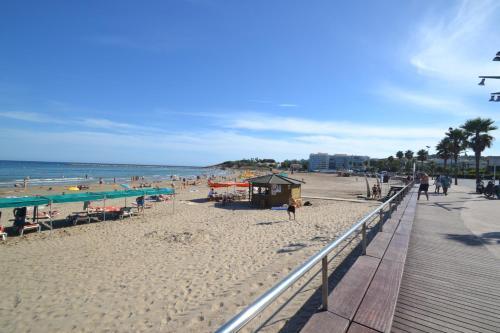 Apartamento Wvp - Turquesa