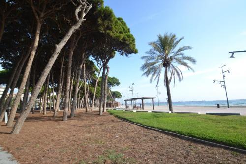 Apartamento Wvp - Marinternum R