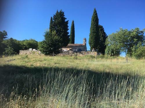 Hostal Camino House Motovun - Eco B&B