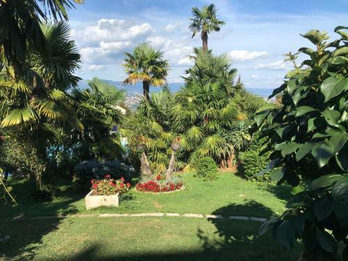 Studio Apartman Lavanda
