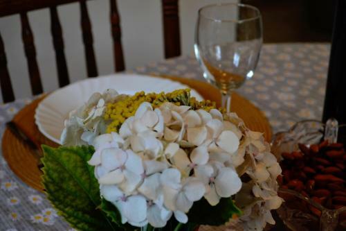 Apartman Tami - Rab