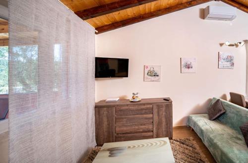 House Olive Tree