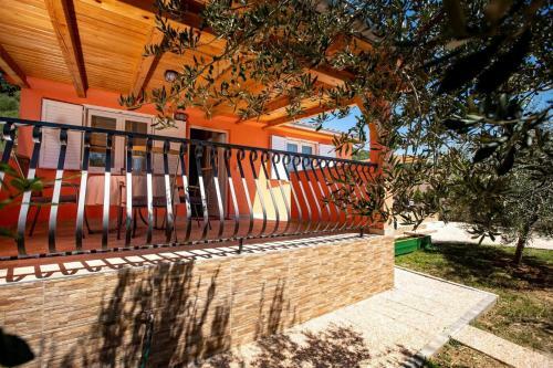 House Olive Tree