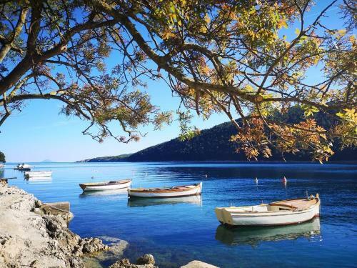 Villa Gogli With Private Pool In Rabac Labin