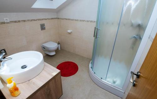 Luxury Villa With A Swimming Pool Novigrad - 18339