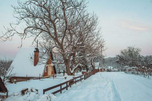 Ku?a Za Odmor Apathy