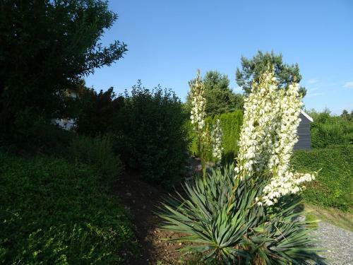 Apartamento Turm Im Blick