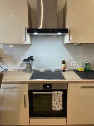 Apartamento Moderne Ferienwohnungen Im Ehem. M�belhaus Schinke