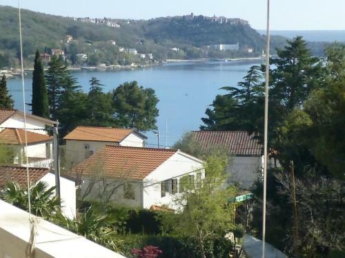 Apartamento Lavanda Omi?alj