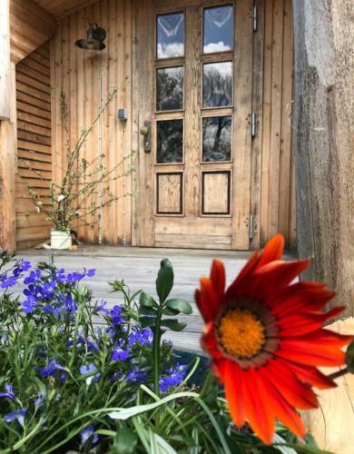 Apartamento Der Zirkuswagen Und Das Elfenhaus