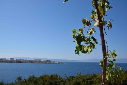 Apartment In Omisalj/insel Krk 13339