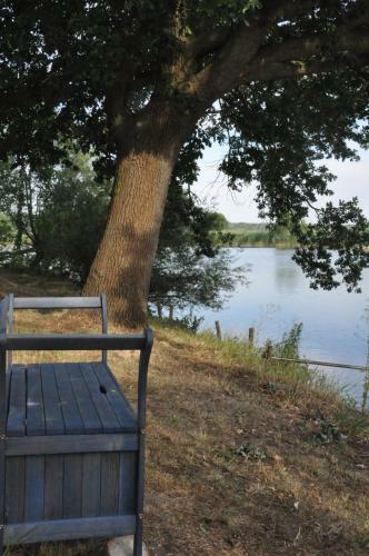 Bed & Breakfast Pension (Fw) "seeblick" Am Stelzenhaus
