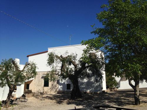 La Vecchia Tabaccheria B&B
