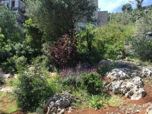 Guest House B&B Pietra Bianca