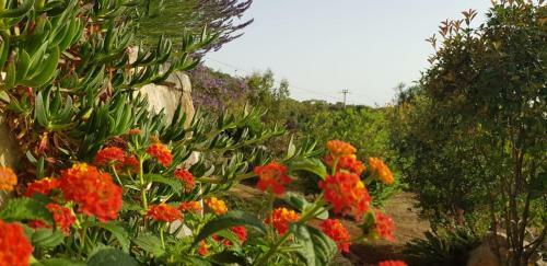 Guest House B&B Pietra Bianca