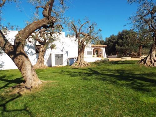 Hostal Lama Di Galizia