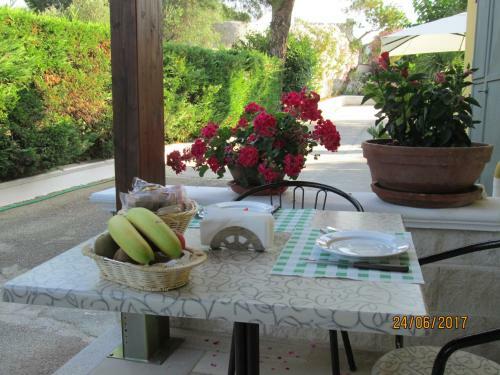 Hotel Tropical