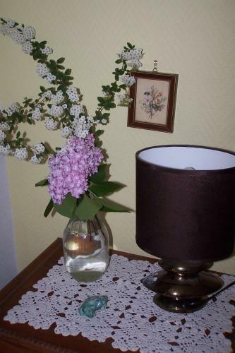 Bed & Breakfast Le Moulin Du Bignon