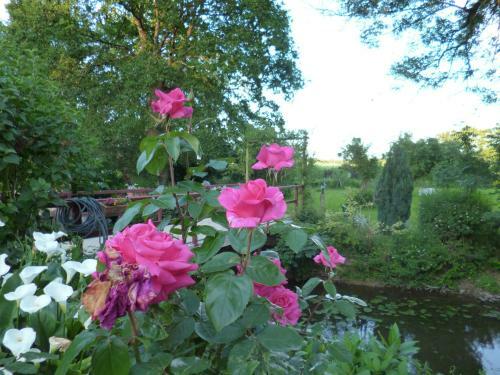 Bed & Breakfast Le Moulin Du Bignon