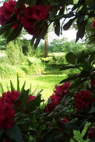 Bed & Breakfast Le Moulin Du Bignon
