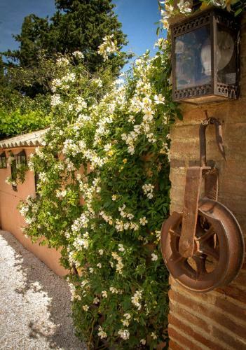 Bed & Breakfast Mas St. Joseph
