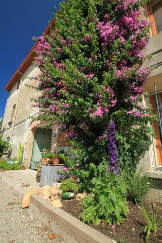 Bed & Breakfast Mas St. Joseph