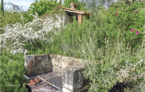 Apartamento Palazzetto 4