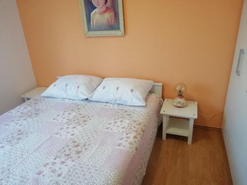 Apartman Ribari?