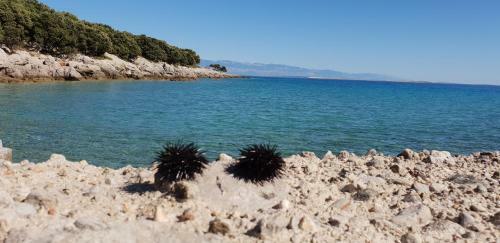 Holiday Home Verin