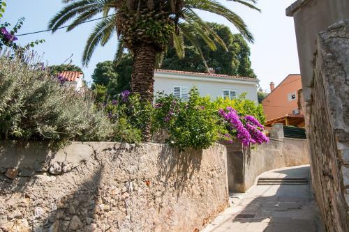 Apartman Pia
