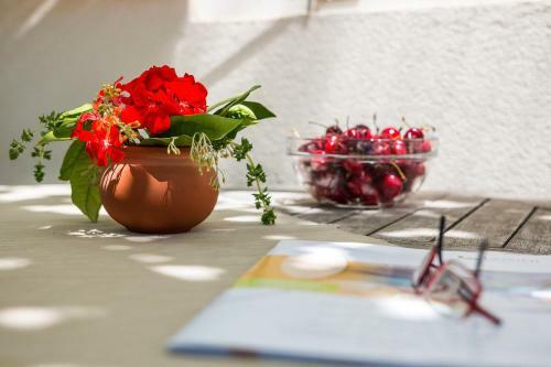 Apartman Pia
