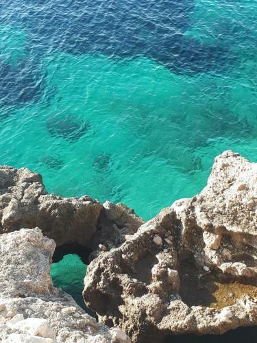Scents Of Nature-dubrovnik Area