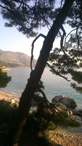 Scents Of Nature-dubrovnik Area