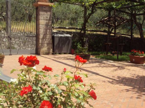 Bed & Breakfast Bellaria Relais